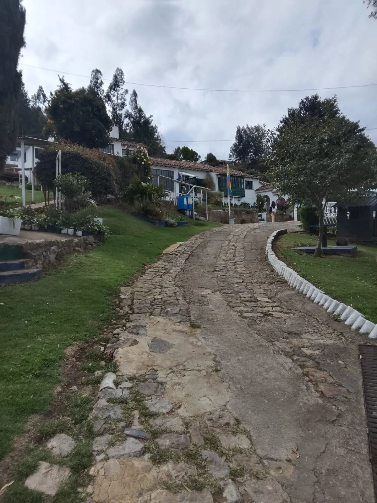 Camino de piedra que recorre las zonas verdes del colegio