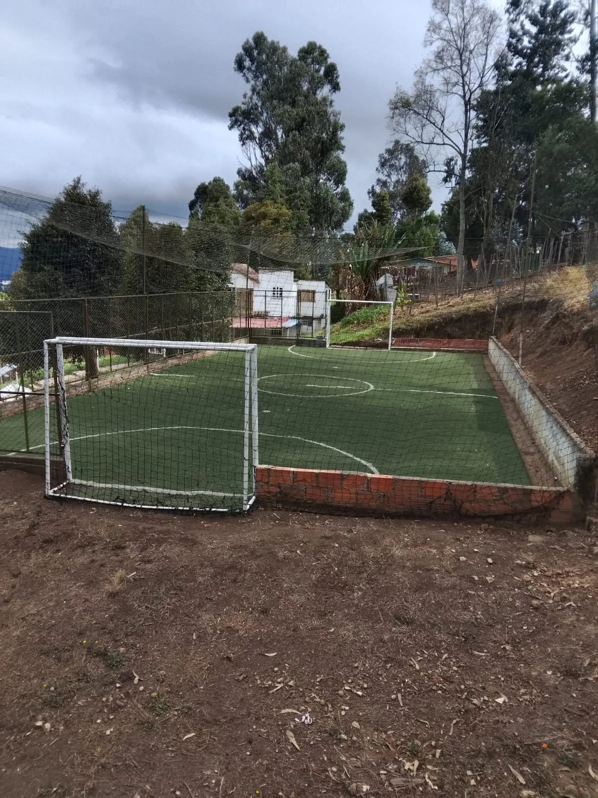 Cancha de fútbol con césped sintético y porterías, rodeada de árboles