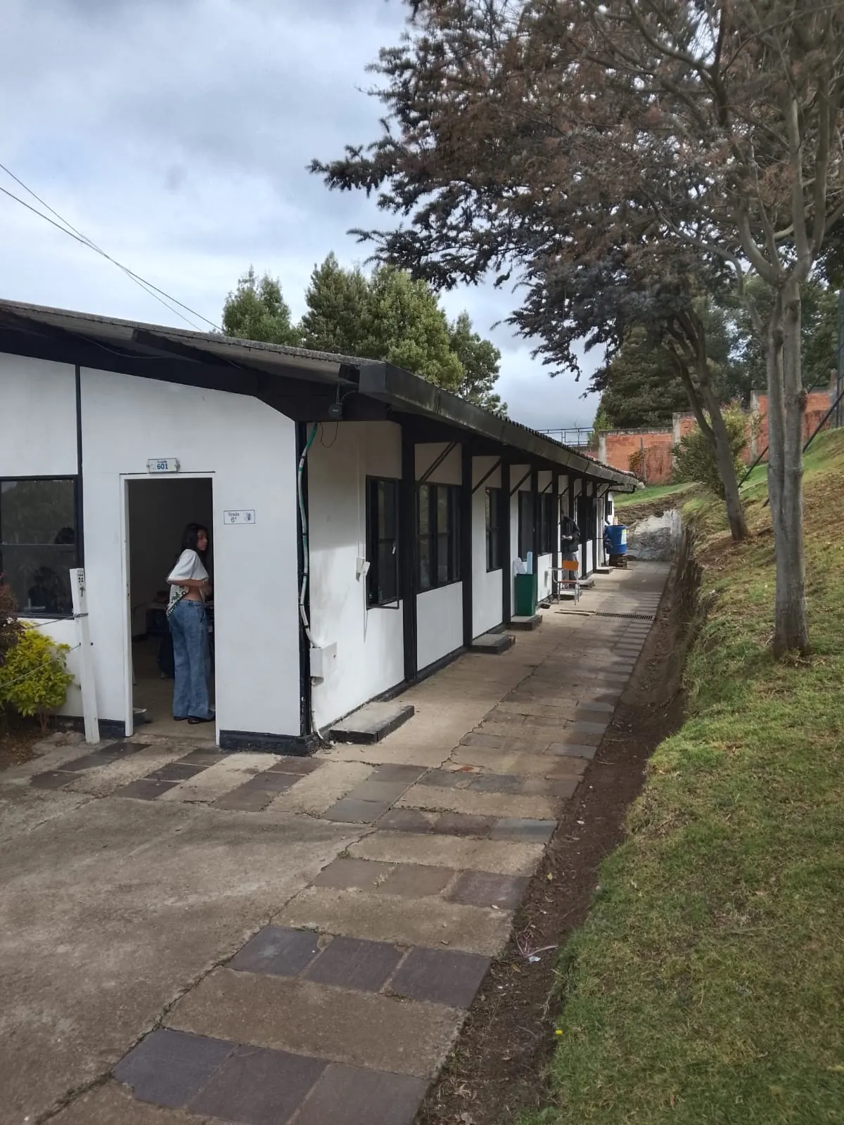 Pasillo adoquinado de acceso a las aulas del Colegio Jonathan Swift